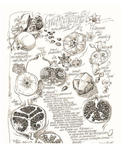 Granatapfel