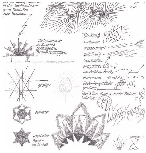 Licht-Sinnes-Organ Von der Waagerechten zur Senkrechten