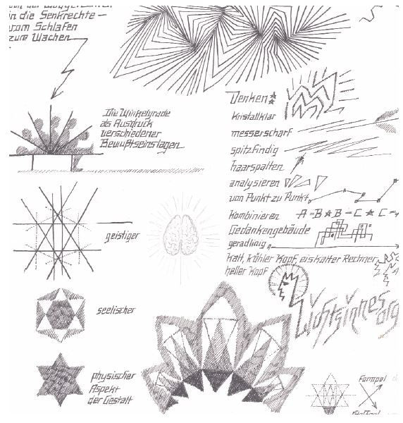 Licht-Sinnes-Organ Von der Waagerechten zur Senkrechten