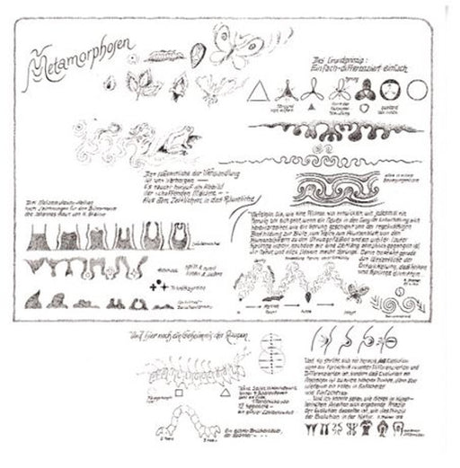 Metamorphosen