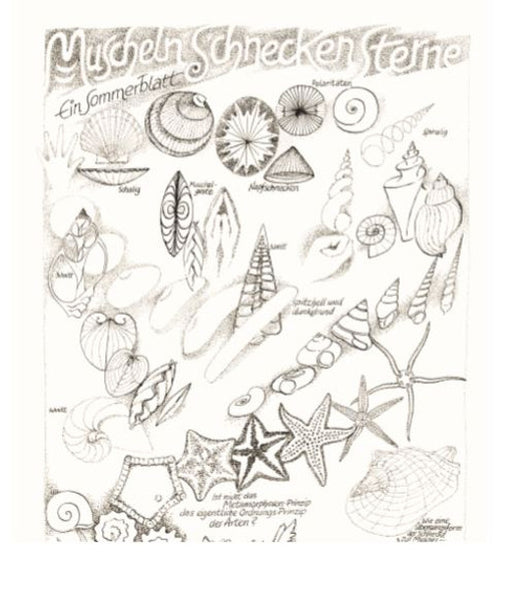 Muscheln, Schnecken, Sterne - Ein Sommerblatt
