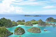Neuseeland, Papua und Vanuatu