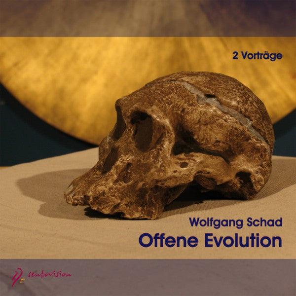 Offene Evolution