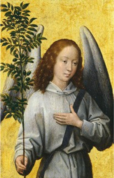 Olivenzweig