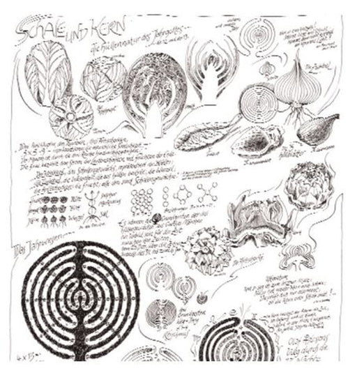 Schale und Kern - die Hüllennatur des Jahresgottes