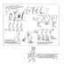 Temperamentvolles und Physiognomisches