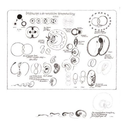 Urkräftewirken in der menschlichen Keimesentwicklung