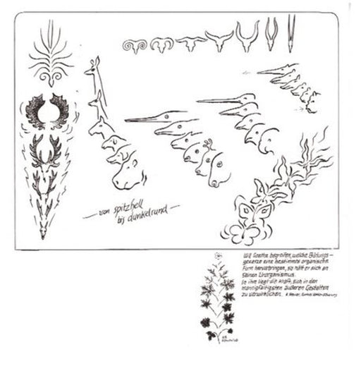 Von spitzhell bis dunkelrund